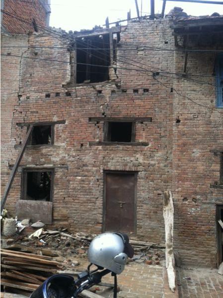 Observation no 17898: Bhol Dhoka, Lalitpur